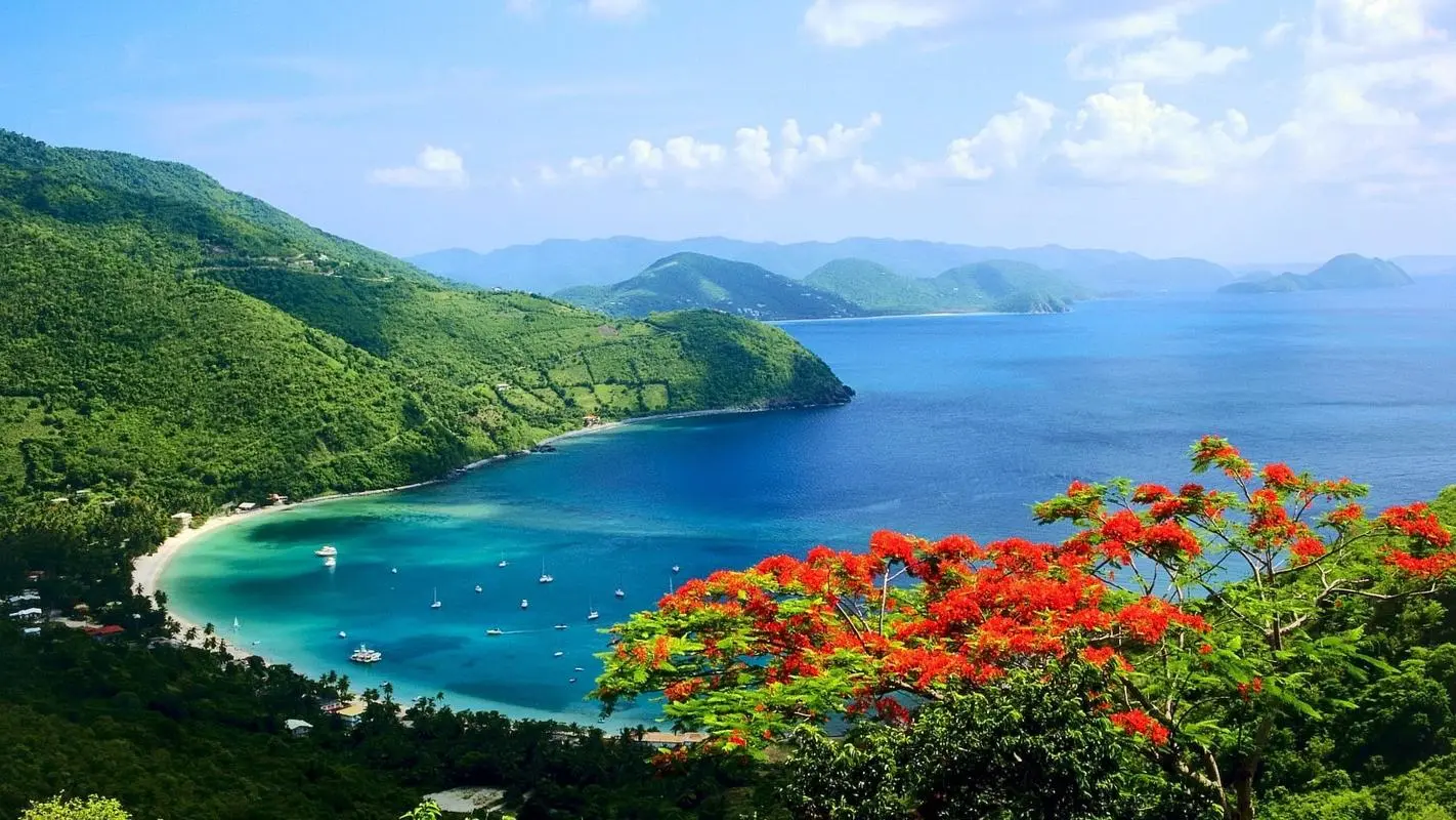 工业高标准